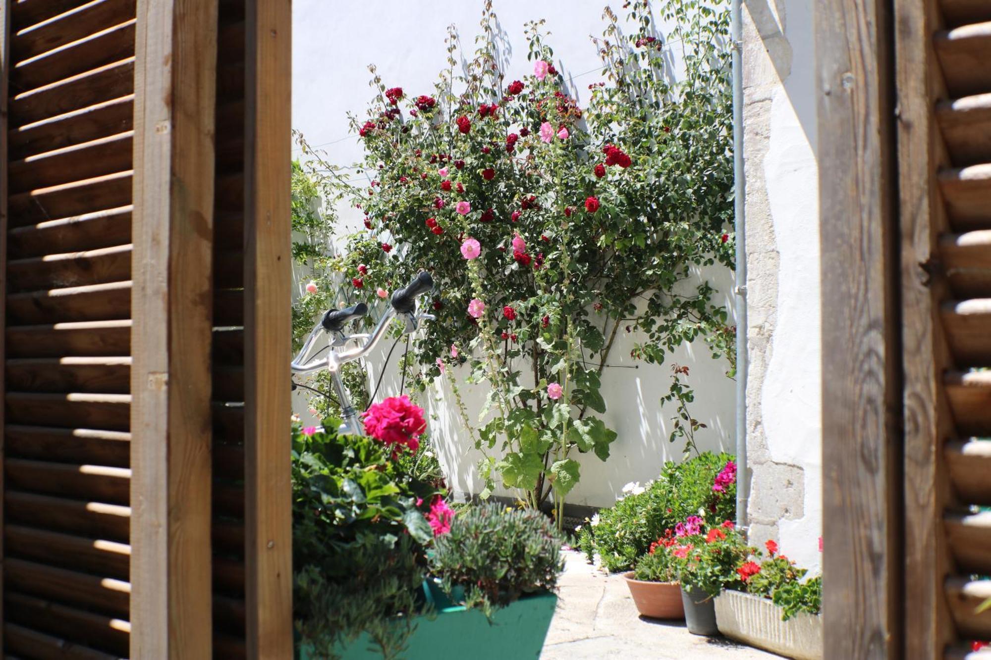 Beau T3 *** Pour 2 A 4 Pers Avec Patio Privatif Διαμέρισμα La Couarde-sur-Mer Εξωτερικό φωτογραφία