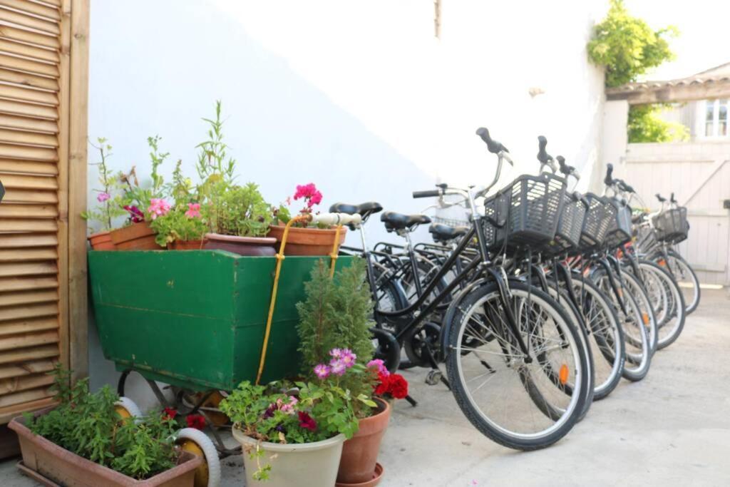 Beau T3 *** Pour 2 A 4 Pers Avec Patio Privatif Διαμέρισμα La Couarde-sur-Mer Εξωτερικό φωτογραφία